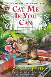 Capa do artigo Cat Me If You Can