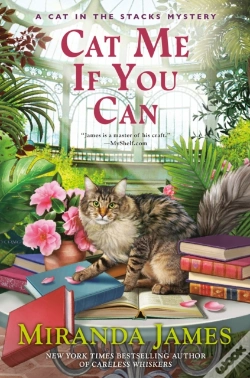 Capa do artigo Cat Me If You Can