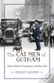 Capa do artigo Cat Men Of Gotham