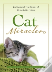 Capa do artigo Cat Miracles