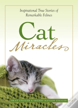 Capa do artigo Cat Miracles