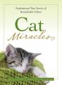Cat Miracles - Preview