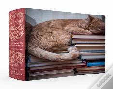 Cat Nap Book Box Puzzle