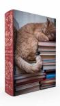 Cat Nap Book Box Puzzle - Preview