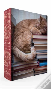 Cat Nap Book Box Puzzle