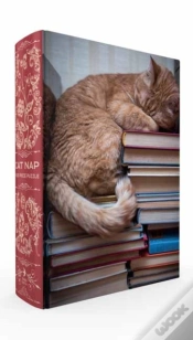 Capa do artigo Cat Nap Book Box Puzzle