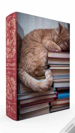 Capa do artigo Cat Nap Book Box Puzzle
