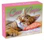 Cat Naps - Preview