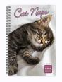 Cat Naps - Preview