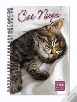 Capa do artigo Cat Naps