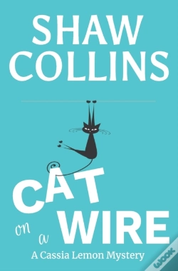 Capa do artigo Cat On A Wire