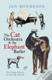 Capa do artigo Cat Orchestra And The Elephant Butler
