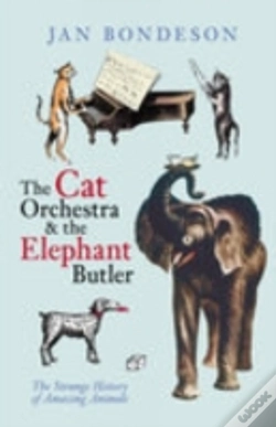 Capa do artigo Cat Orchestra And The Elephant Butler