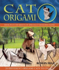 Capa do artigo Cat Origami