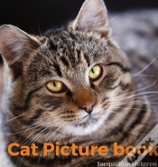Capa do artigo Cat Picture Book: For Adults. Coffee Tab