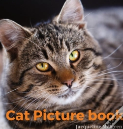 Capa do artigo Cat Picture Book: For Adults. Coffee Tab