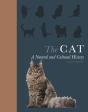 Cat - Preview