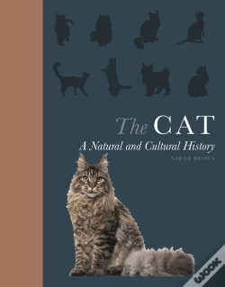 Capa do artigo Cat