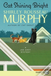 Capa do artigo Cat Shining Bright
