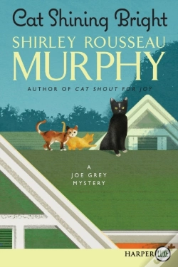 Capa do artigo Cat Shining Bright