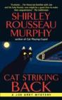 Cat Striking Back - Preview