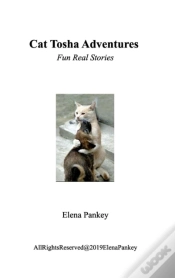 Capa do artigo Cat Tosha Adventure