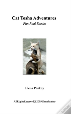 Capa do artigo Cat Tosha Adventure
