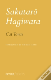 Capa do artigo Cat Town