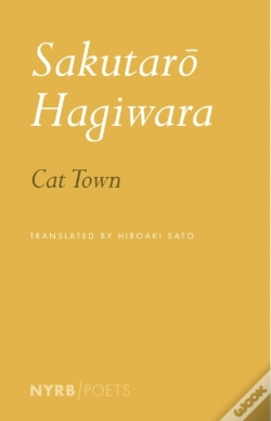 Capa do artigo Cat Town