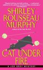 Cat Under Fire - Preview