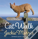 Cat Walk