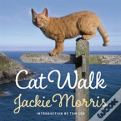 Capa do artigo Cat Walk