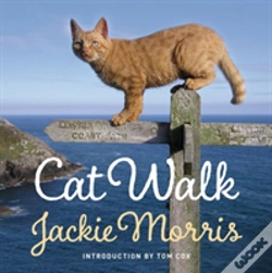 Capa do artigo Cat Walk