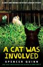 Cat Was Involved - Preview