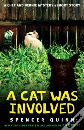 Cat Was Involved