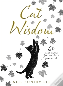 Capa do artigo Cat Wisdom