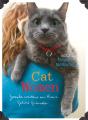 Cat Women - Preview