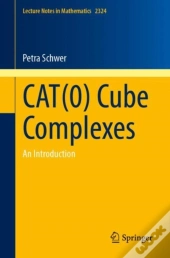 Cat(0) Cube Complexes