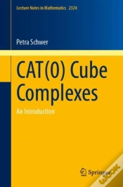 Capa do artigo Cat(0) Cube Complexes