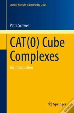 Capa do artigo Cat(0) Cube Complexes