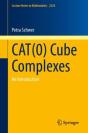Cat(0) Cube Complexes - Preview