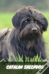 Catalan Sheepdog
