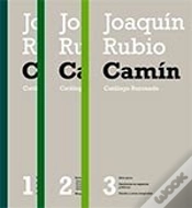 Capa do artigo Catalogo Razonado De La Obra Artistica De Joaquin Rubio Camin 