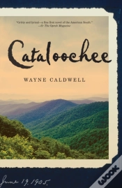 Capa do artigo Cataloochee