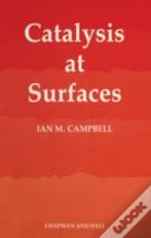 Catalysis At Surfaces