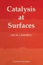 Catalysis At Surfaces - Preview