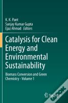 Catalysis For Clean Energy And Environmental Sustainability