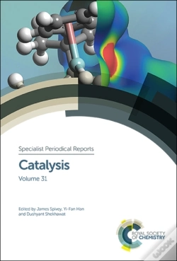 Capa do artigo Catalysis