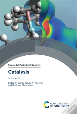 Capa do artigo Catalysis