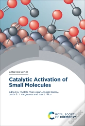 Capa do artigo Catalytic Activation Of Small Molecules